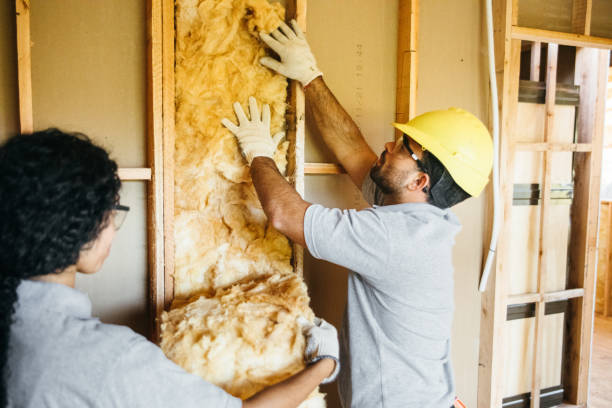 Best Professional Insulation Contractor  in Burkburnett, TX