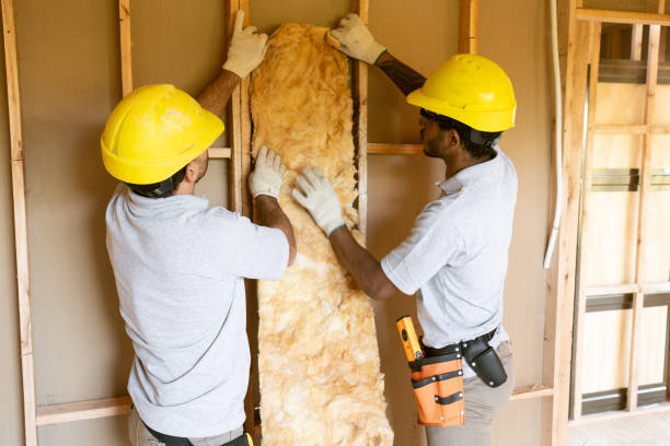 Best Insulation Contractor Near Me  in Burkburnett, TX